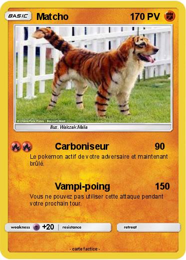 Pokemon Matcho