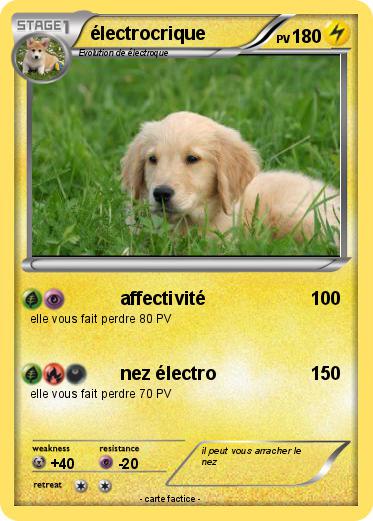 Pokemon électrocrique