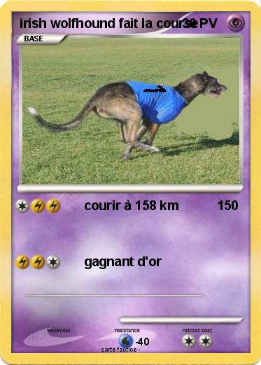 Pokemon irish wolfhound fait la course