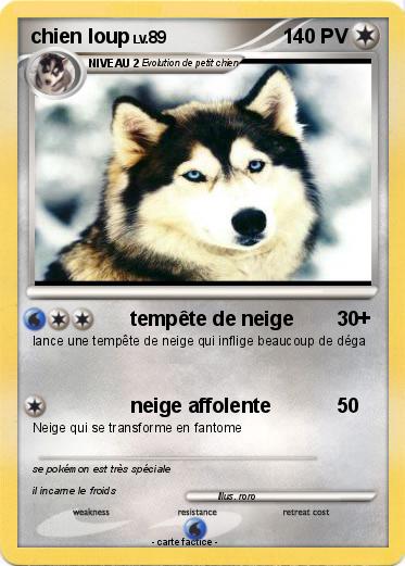 Pokemon chien loup