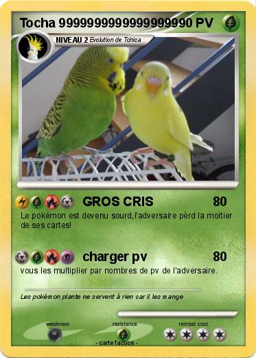 Pokemon Tocha 99999999999999999