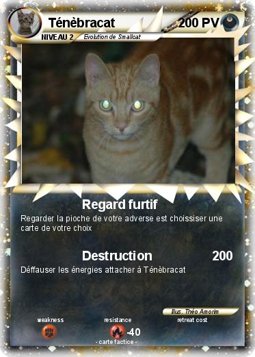 Pokemon Ténèbracat
