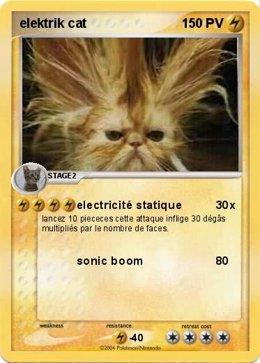 Pokemon elektrik cat