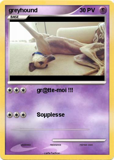 Pokemon greyhound