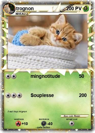 Pokemon trognon