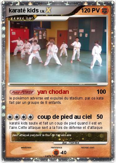 Pokemon karaté kids