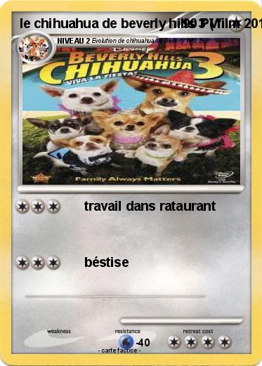 Pokemon le chihuahua de beverly hills 3 ( film 2012 )