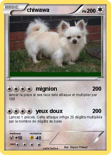 Pokemon chiwawa