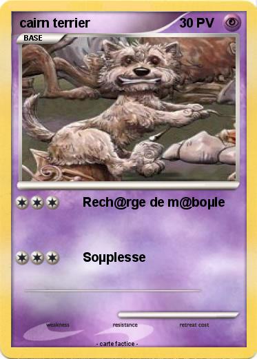 Pokemon cairn terrier