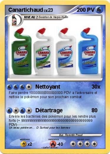 Pokemon Canartichaud