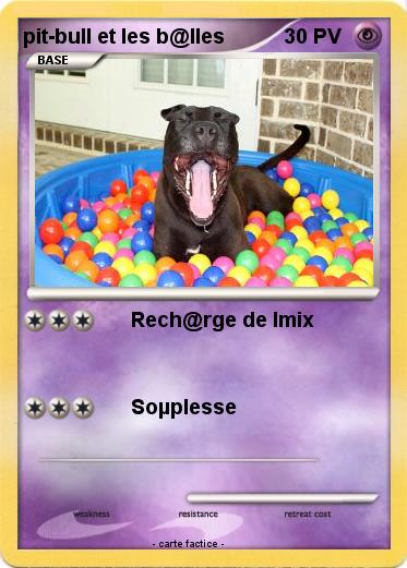 Pokemon pit-bull et les b@lles