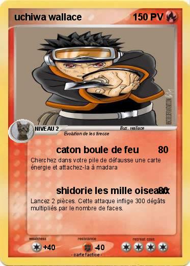 Pokemon uchiwa wallace