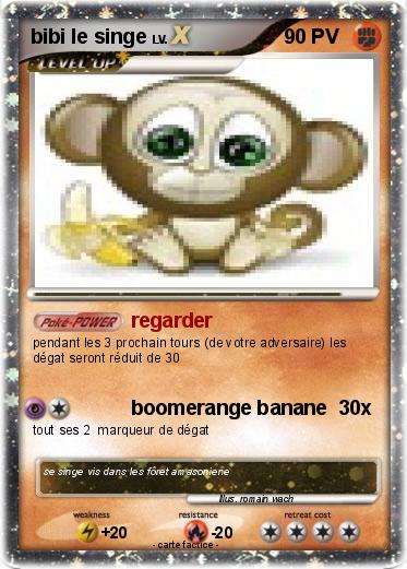 Pokemon bibi le singe