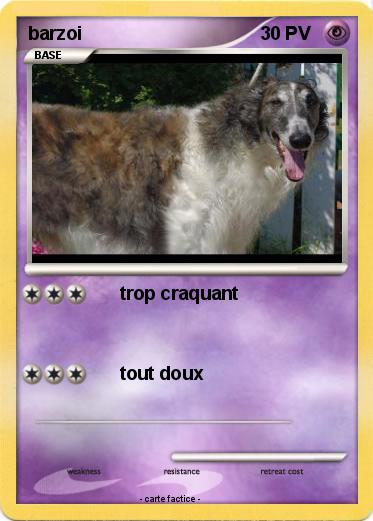 Pokemon barzoi