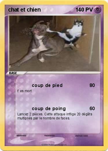 Pokemon chat et chien