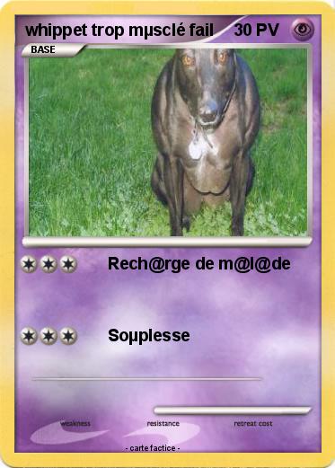 Pokemon whippet trop mµsclé fail