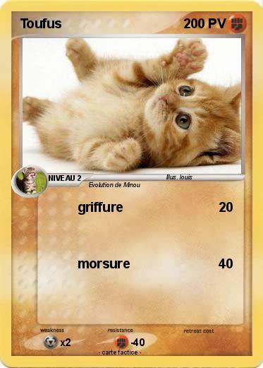 Pokemon Toufus