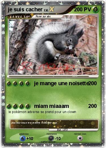 Pokemon je suis cacher