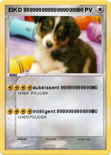 Pokemon EIKO 999999999999999999