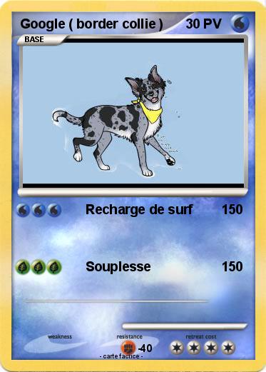 Pokemon Google ( border collie )