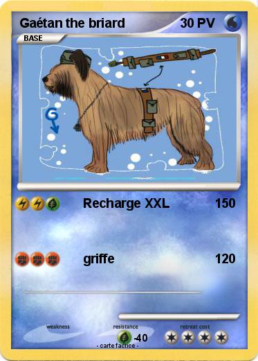 Pokemon Gaétan the briard