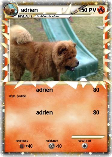 Pokemon adrien