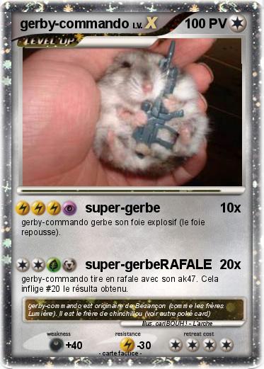 Pokemon gerby-commando
