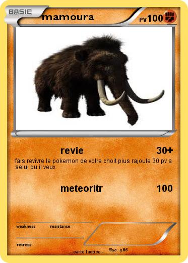 Pokemon mamoura