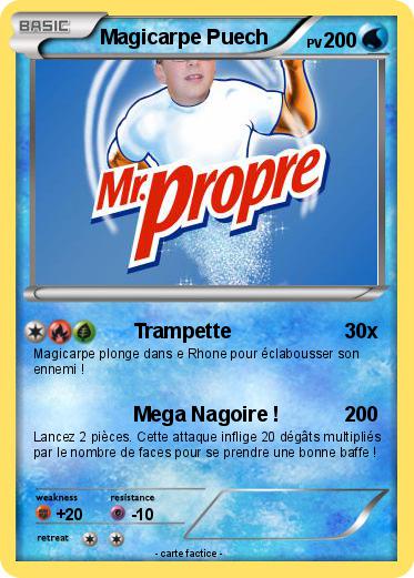 Pokemon Magicarpe Puech