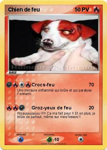 Pokemon Chien de feu 