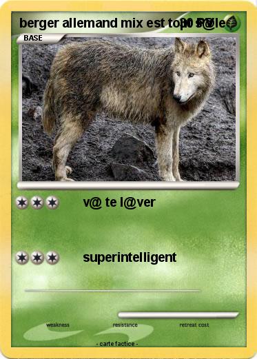 Pokemon berger allemand mix est toµt s@le