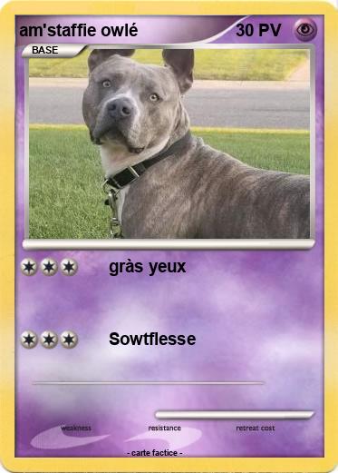 Pokemon am'staffie owlé