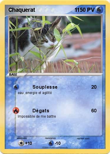 Pokemon Chaquerat                          1