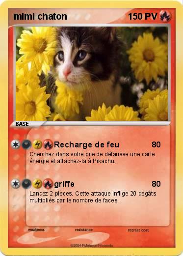 Pokemon mimi chaton