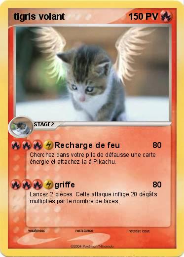Pokemon tigris volant
