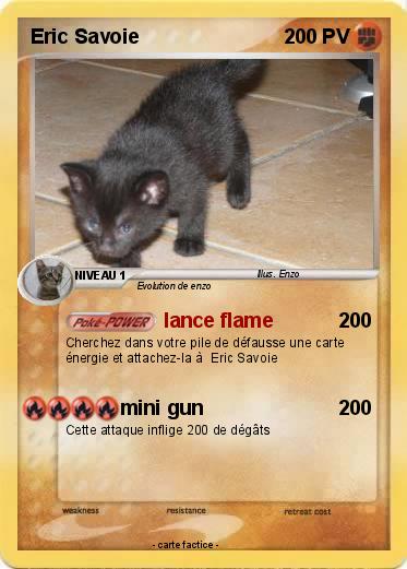 Pokemon Eric Savoie