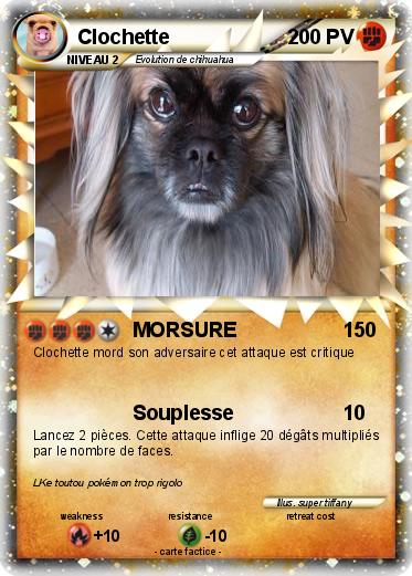 Pokemon Clochette