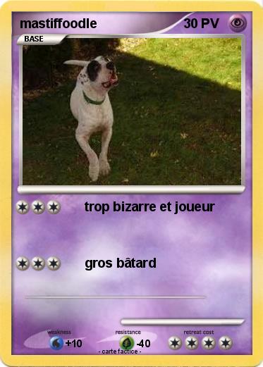 Pokemon mastiffoodle