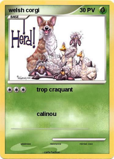Pokemon welsh corgi