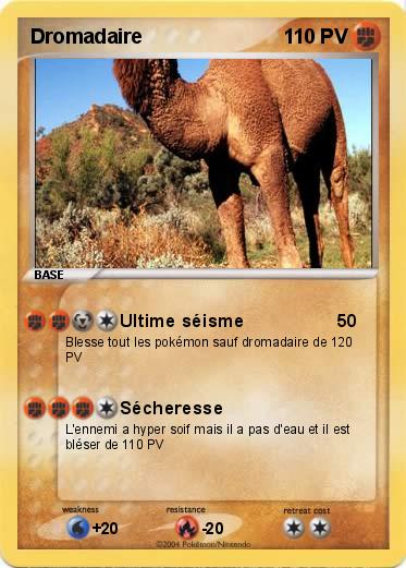 Pokemon Dromadaire 