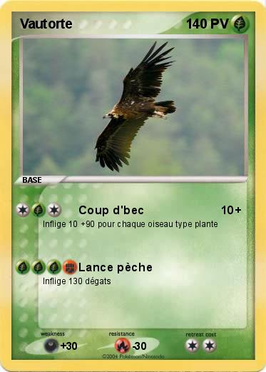 Pokemon Vautorte 
