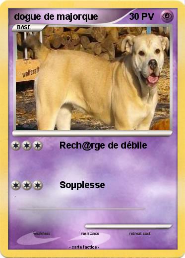 Pokemon dogue de majorque