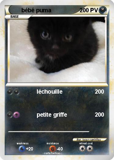 Pokemon bébé puma