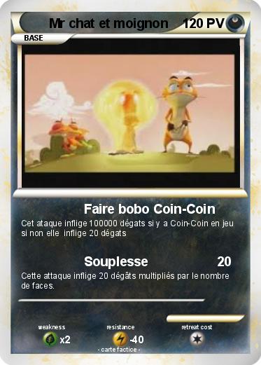 Pokemon Mr chat et moignon