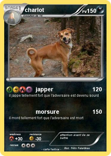 Pokemon charlot