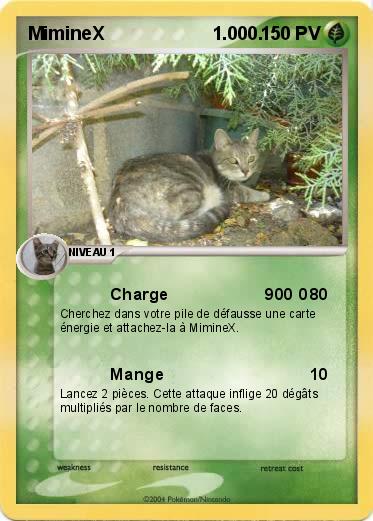Pokemon MimineX                     1.000.
