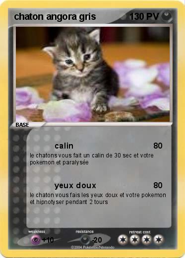 Pokemon chaton angora gris 
