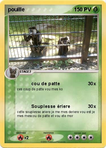 Pokemon pouille