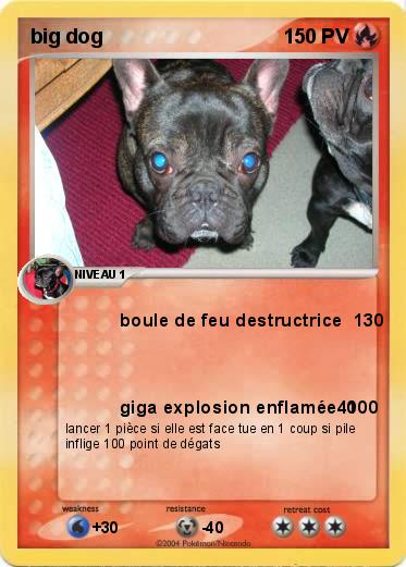 Pokemon big dog                                           