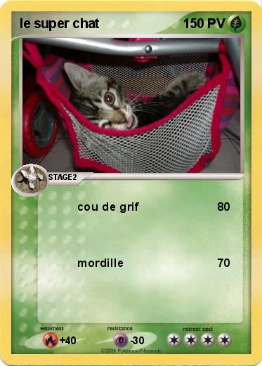 Pokemon le super chat